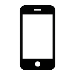 Phones check